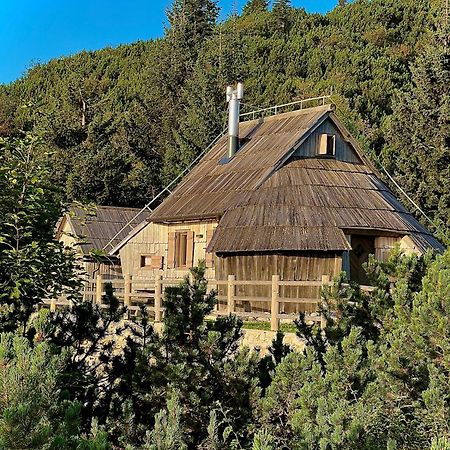 Chalet Velika Planina - I Feel Alps Stahovica Ngoại thất bức ảnh