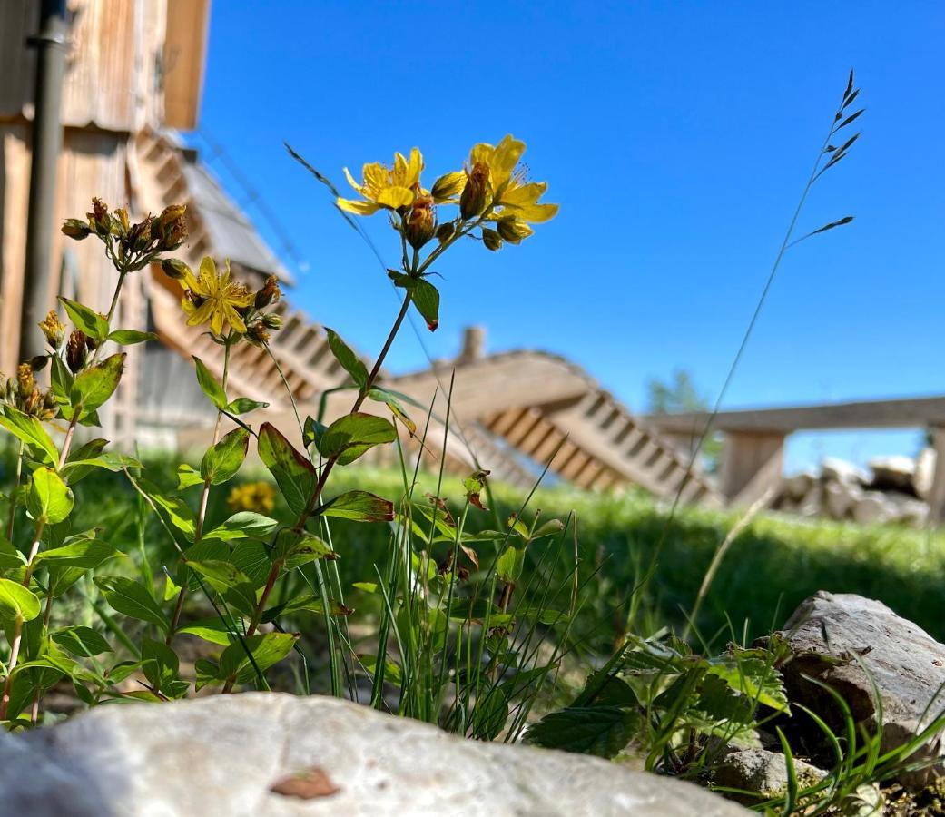 Chalet Velika Planina - I Feel Alps Stahovica Ngoại thất bức ảnh