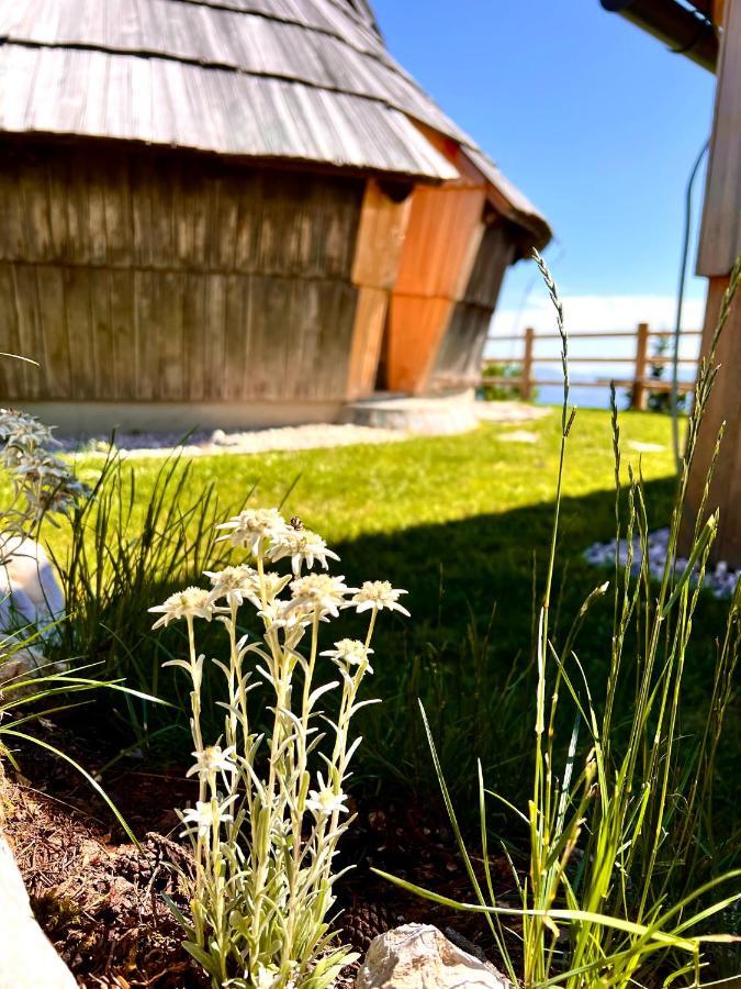 Chalet Velika Planina - I Feel Alps Stahovica Ngoại thất bức ảnh