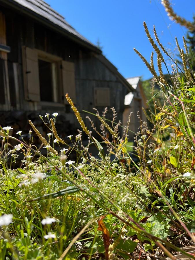 Chalet Velika Planina - I Feel Alps Stahovica Ngoại thất bức ảnh