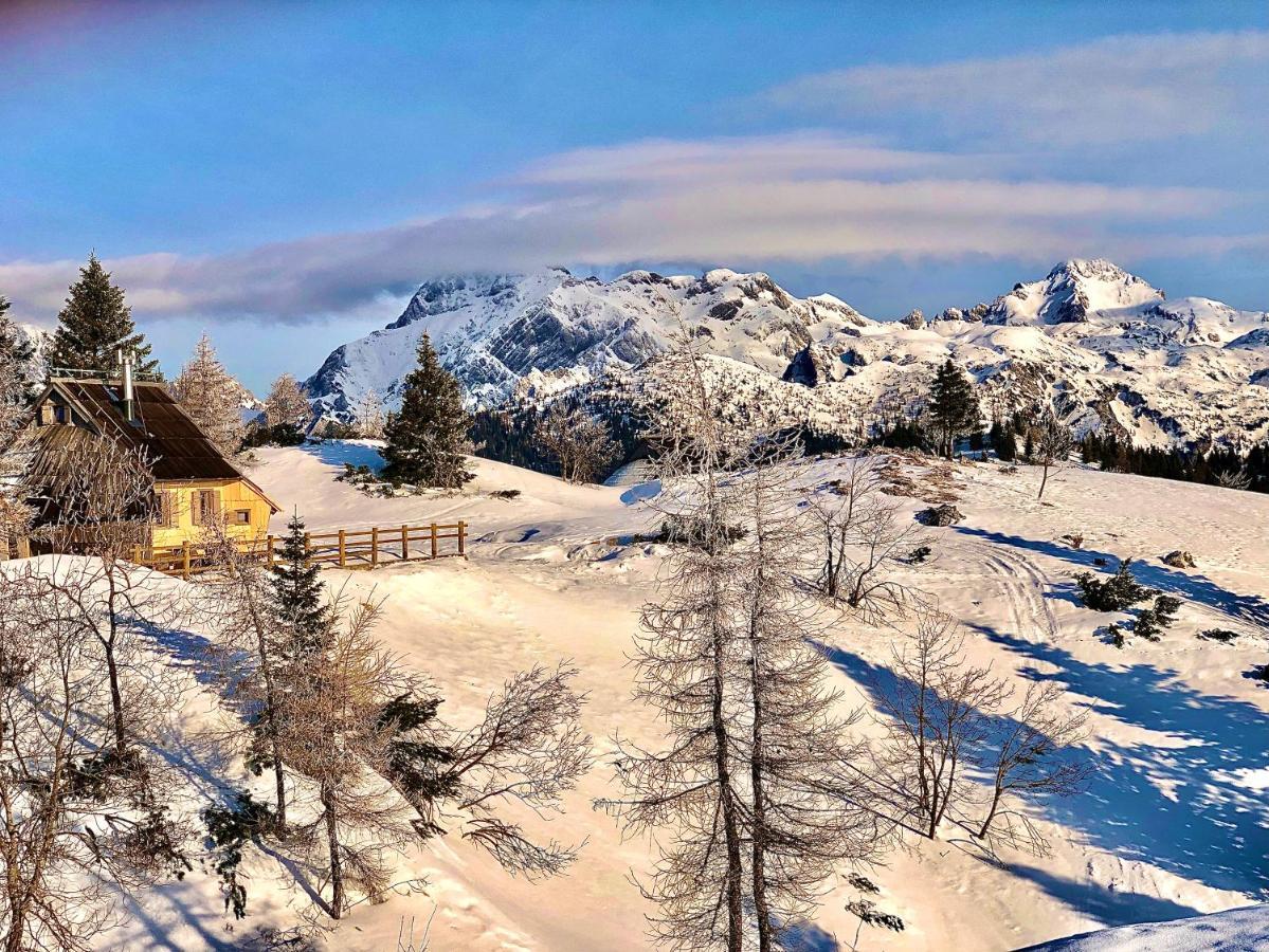 Chalet Velika Planina - I Feel Alps Stahovica Ngoại thất bức ảnh